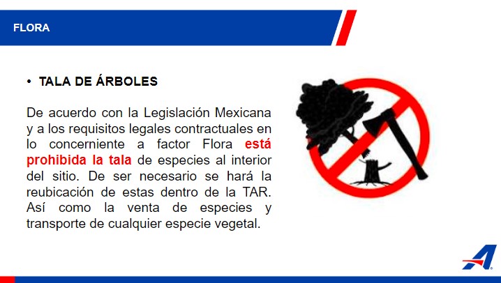 Prohibida la tala de árboles